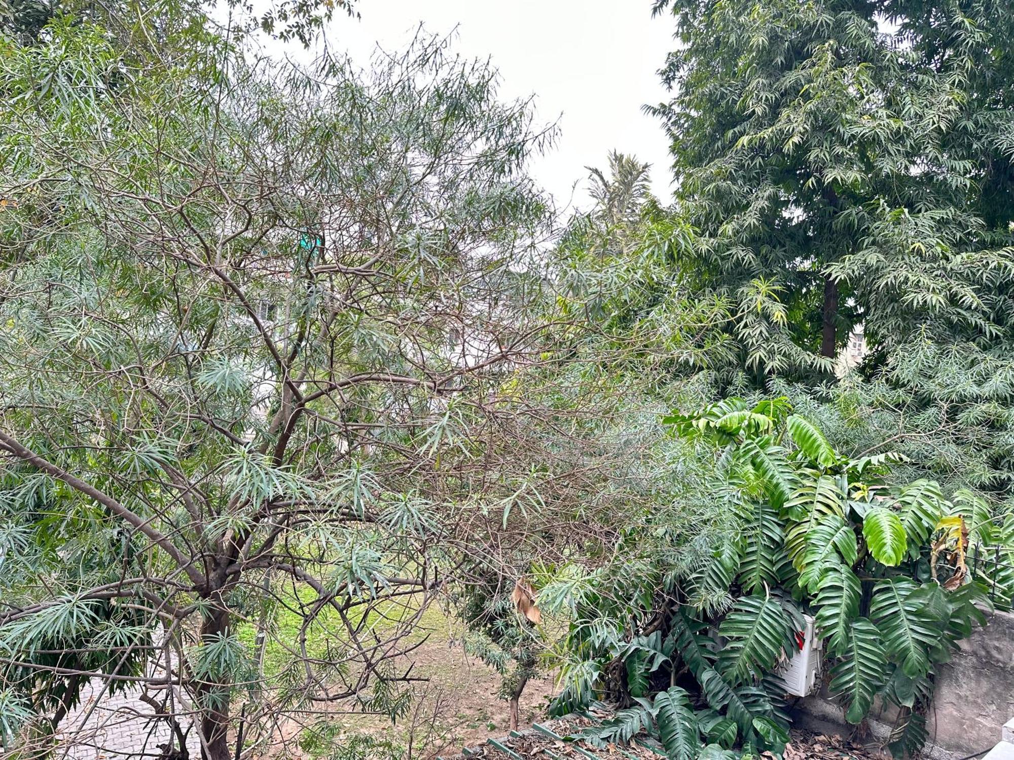 Grove Residency Hauz Khas New Delhi Couple Friendly Hotel Kültér fotó